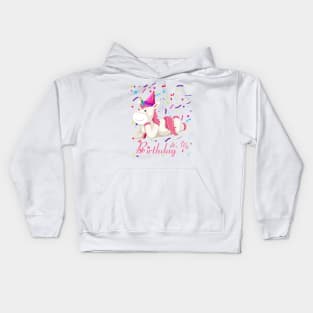 Funny Family It's My Birthday Girl Unicorn Gift Kids Hoodie